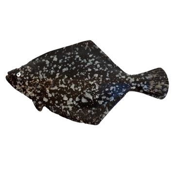 Maj Isenkram - Fladfisk L:29cm - Brun